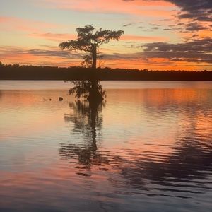 Meet your Posher, Logan